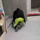 EASYDEK Dura Cover Concrete Temporary Protection Material for Floors, Walls, and Stairs (1/2m x 25m)