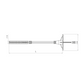 Insulation Anchor with Metal Nail 10x220mm (60mm Plate)